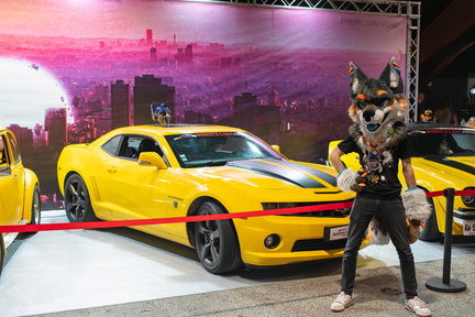 IMGP7541-Enhanced-NR