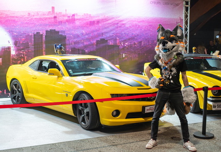 IMGP7544-Enhanced-NR