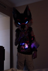 IMGP0718-Enhanced-NR