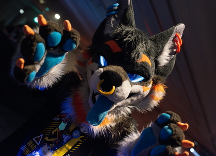 IMGP0865-Enhanced-NR