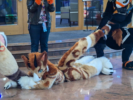 PXL 20241101 144011412.MP