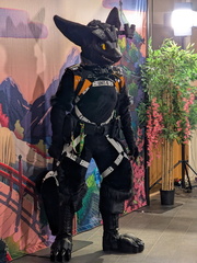 PXL 20250221 211915383