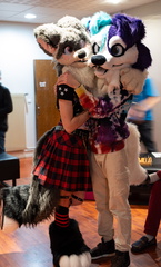 IMGP2609