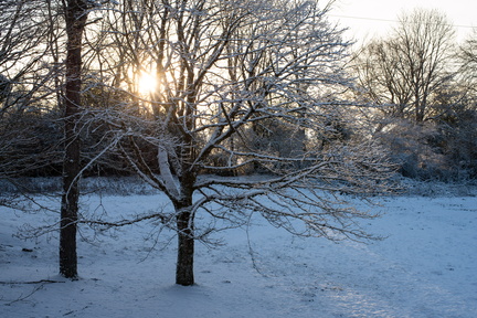 IMGP2637