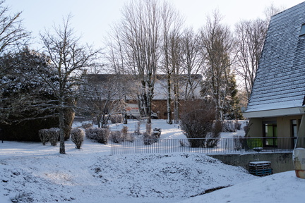 IMGP2647