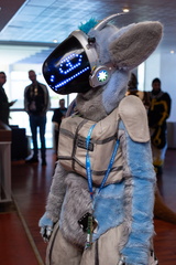 IMGP2682