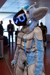 IMGP2683