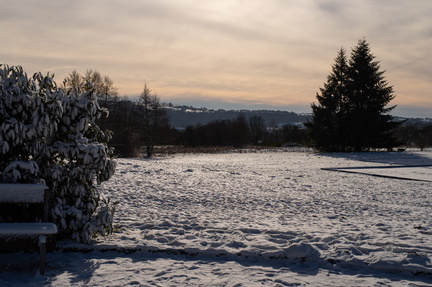 IMGP2782