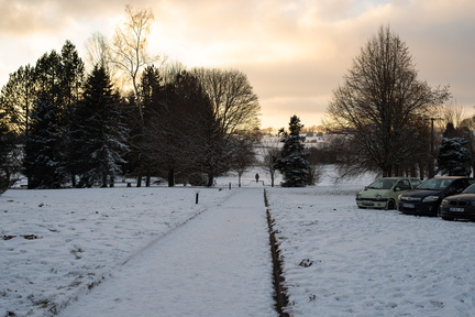 IMGP2952