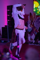 IMGP5498