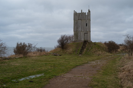 IMGP3771