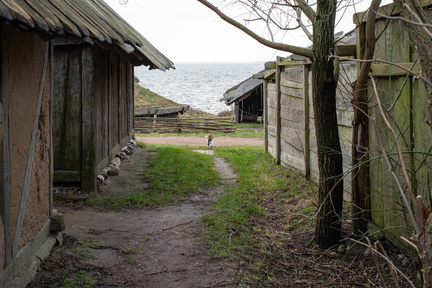 IMGP3814