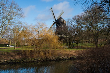 IMGP4017
