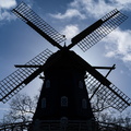 IMGP4019