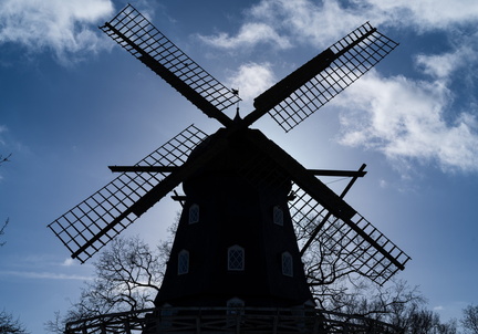 IMGP4019