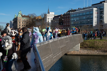 IMGP4554